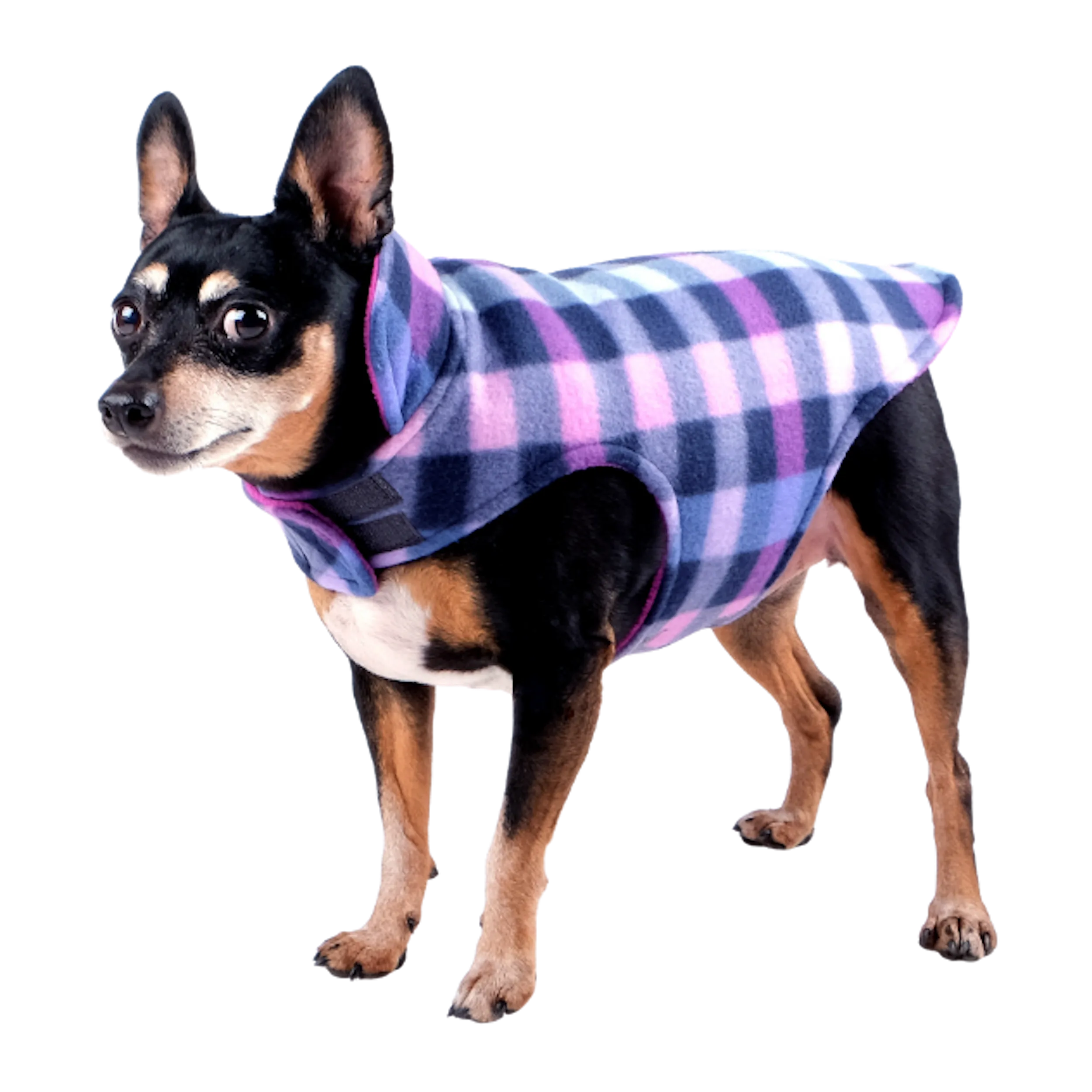 Fleece | Fargo Purple Check